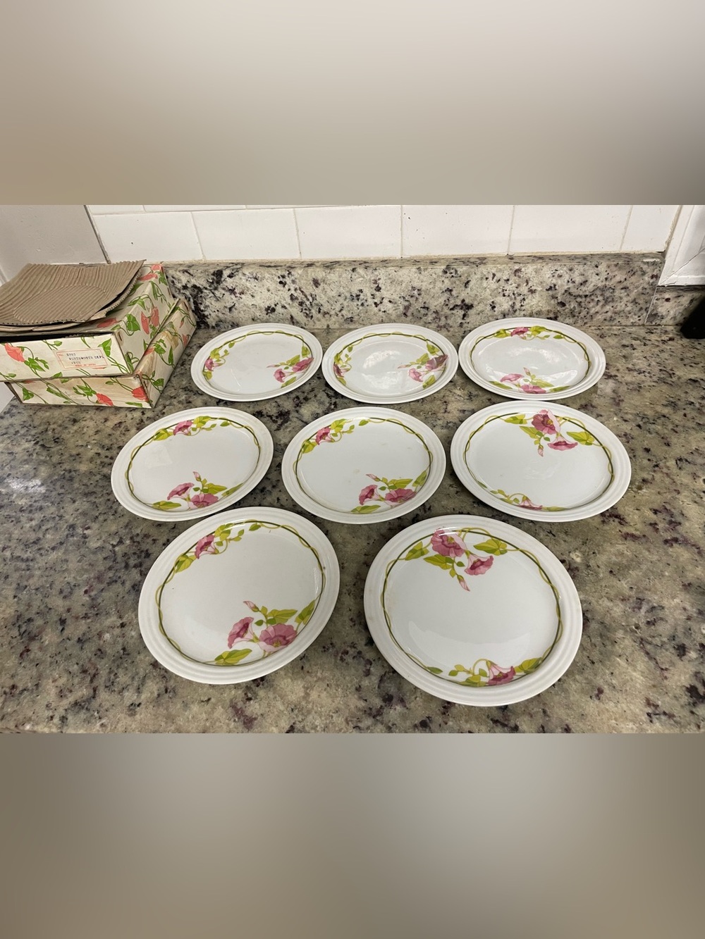 Vintage Toscany Collection Portsmouth  plates pink morning glory pattern set o 8